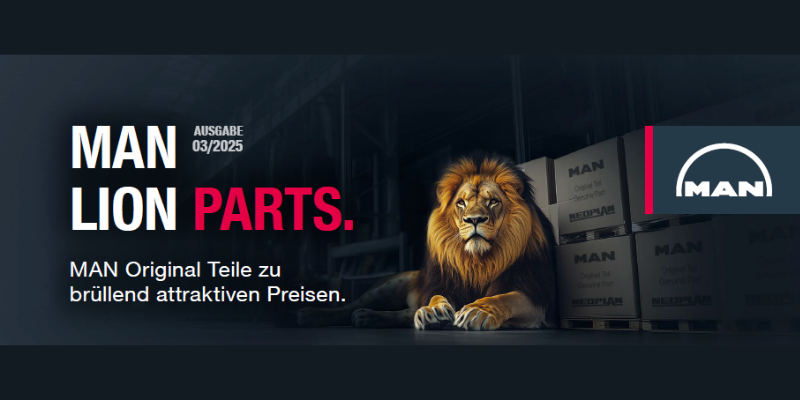 MAN LION PARTS